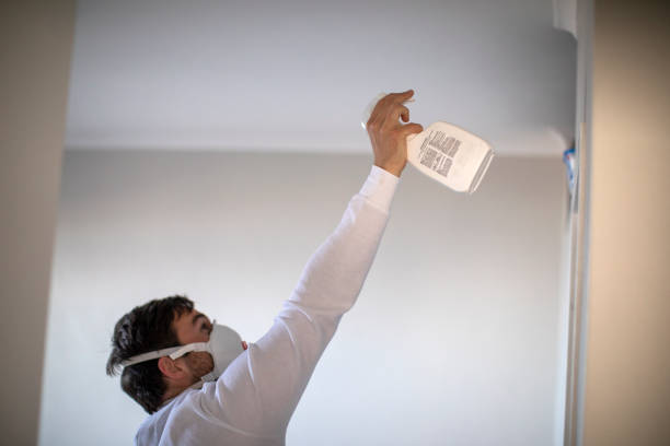 Best Mold Testing  in Williston, ND
