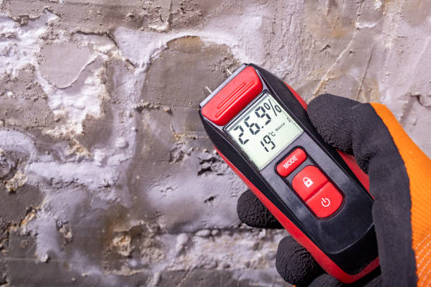 Best Professional Mold Removal  in Williston, ND