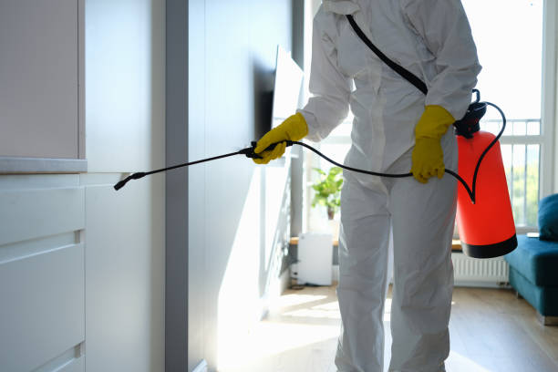 Best Commercial Mold Removal  in Williston, ND